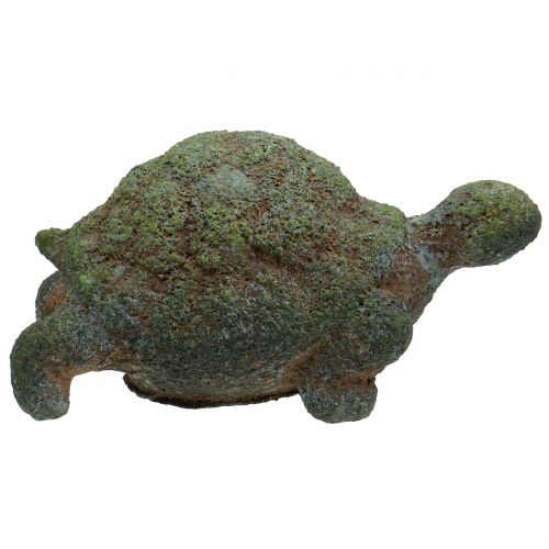 Floristik24 Tuinfiguur schildpad bemost 30cm x 18cm H15cm