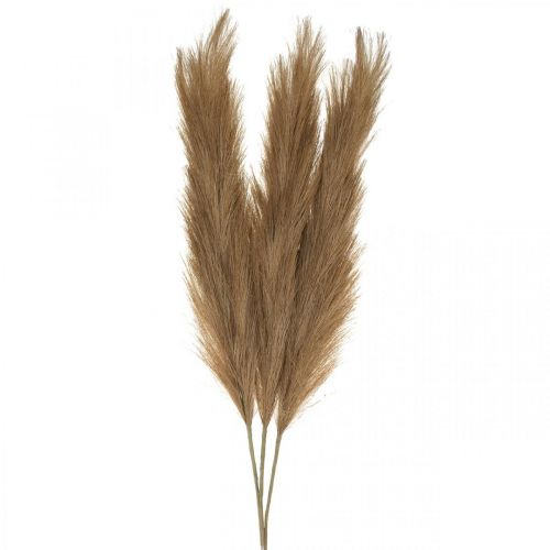Floristik24 Feather Grass Bruin Natuurlijk Kunstmatig Droog Gras Riet 100cm 3st