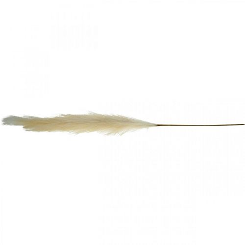 Floristik24 Feather Grass Cream Chinees riet kunstmatig droog gras 100cm 3st
