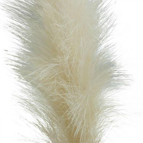 Artikel Feather Grass Cream Chinees riet kunstmatig droog gras 100cm 3st