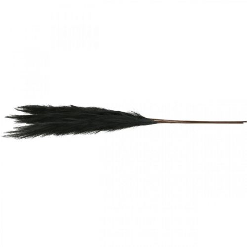 Floristik24 Feather Grass Zwart Chinees Riet Kunstmatig Droog Gras 100cm 3st
