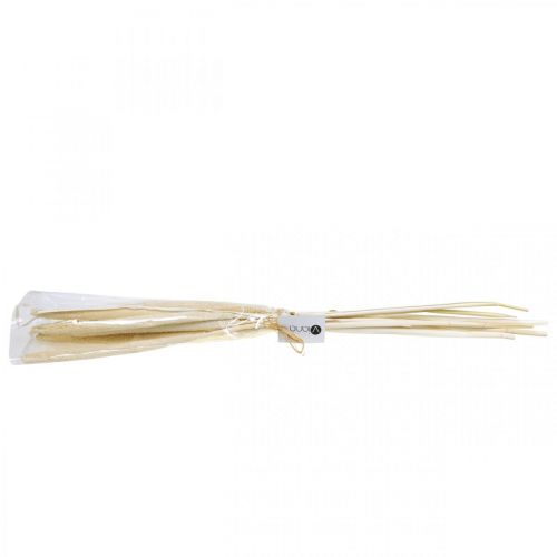 Floristik24 Riet deco rietgras gedroogd gebleekt H60cm bos