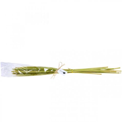 Floristik24 Riet cob deco rietgras gedroogd groen H60cm bos