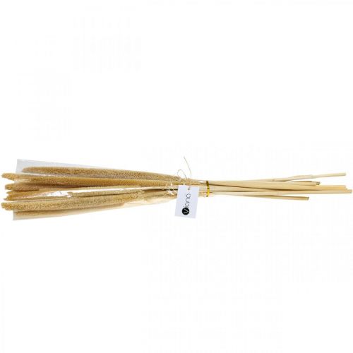 Floristik24 Riet cob deco rietgras gedroogd naturel H60cm bos