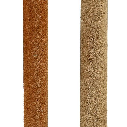 Artikel Rietenbollenmix naturel decoratief riet 70cm 100 st
