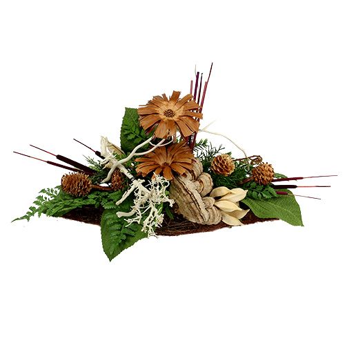 Artikel Rietenbollenmix naturel decoratief riet 70cm 100 st