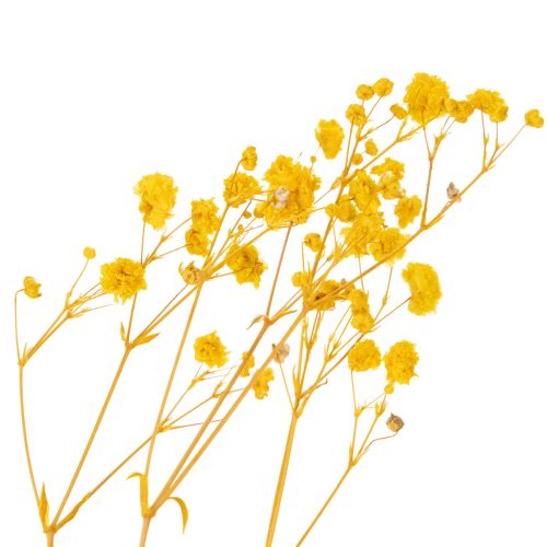 Artikel Boeket gedroogde bloemen met gipskruid. Decoratieve bloeiende takken, geschikt voor seizoensgebonden tafeldecoratie. 70 cm