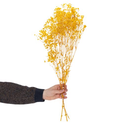 Artikel Boeket gedroogde bloemen met gipskruid. Decoratieve bloeiende takken, geschikt voor seizoensgebonden tafeldecoratie. 70 cm