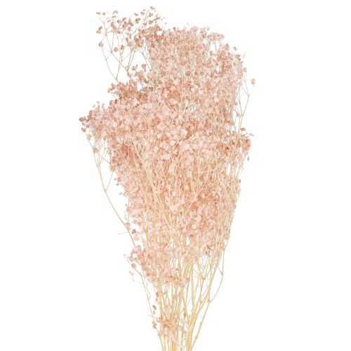 Floristik24 Gypsophila Decoratie Oranje Gedroogde Grassen Perzik 65-70cm 100g