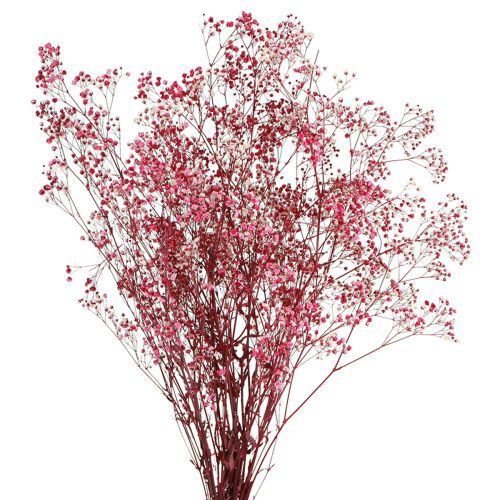 Artikel Gypsophila pluizig gipskruid in bes L50cm 55g