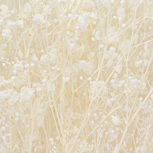 Artikel Gypsophila Wit Gedroogde Grassen Decoratie Crème 65-70cm 100g
