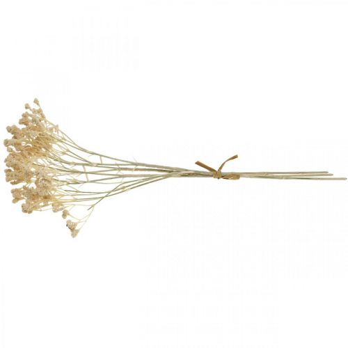 Artikel Gypsophila kunstcrème gypsophila 46cm bos van 3 stuks