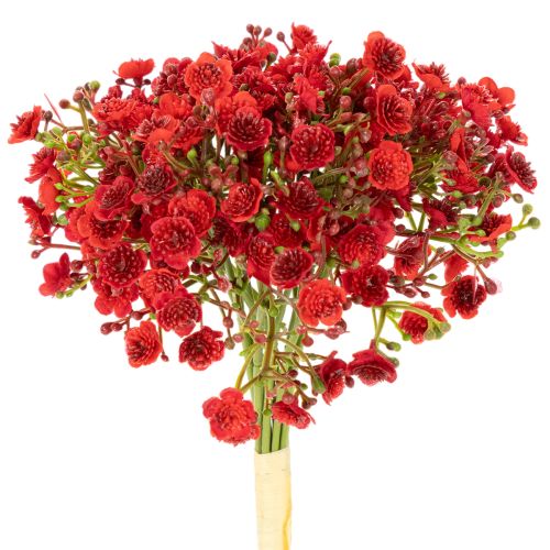 Kunstmatig gipskruid, rood, boeket als bloemdecoratie, 30 cm, 10 stuks