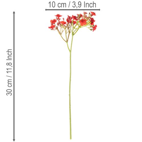 Kunstmatig gipskruid, rood, boeket als bloemdecoratie, 30 cm, 10 stuks | Floristik24.nl