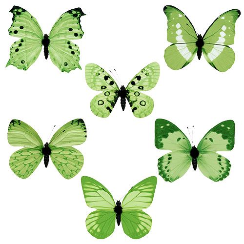 Vlinder groen op clip 10cm - 11cm 6st