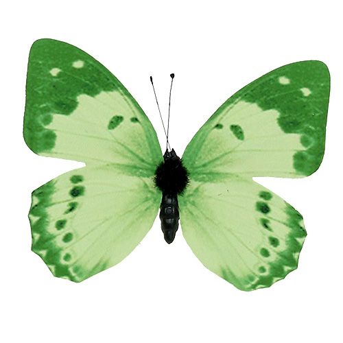 Floristik24 Vlinder groen op clip 10cm - 11cm 6st