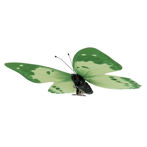 Floristik24 Vlinder groen op clip 10cm - 11cm 6st