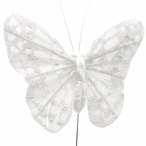 Floristik24 Veer vlinder met draad wit, glitter 5cm 24 st