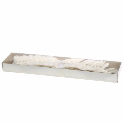 Floristik24 Veer vlinder met draad wit, glitter 5cm 24 st