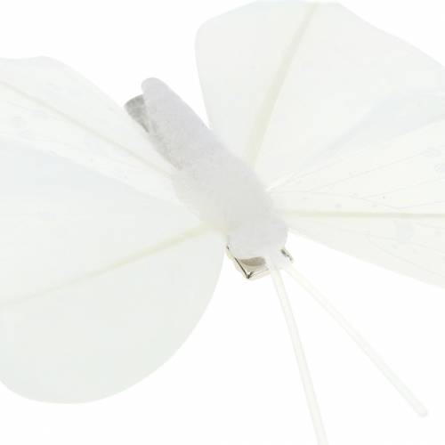 Floristik24 Veer vlinder op clip wit 7-8cm 8st