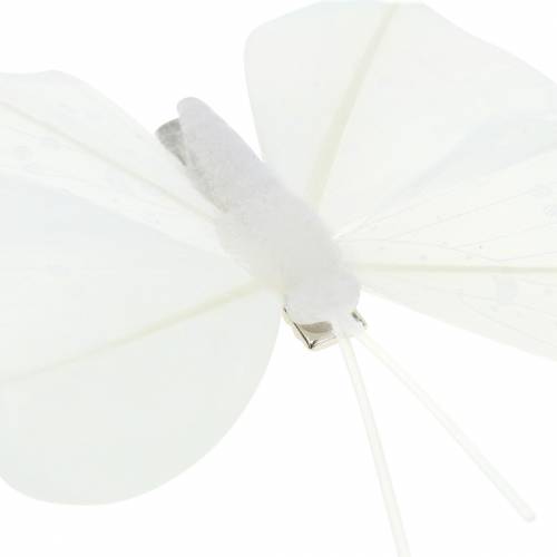 Floristik24 Veren vlinder op clip wit 7-8cm 8 st