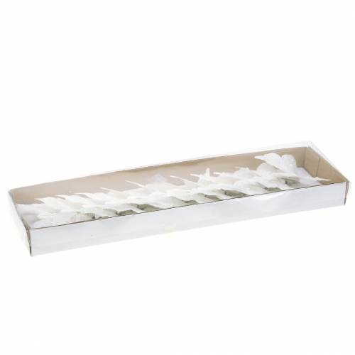 Floristik24 Veer vlinder op clip wit 10 cm 12 stuks