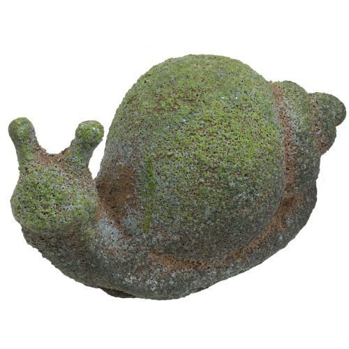Floristik24 Tuinbeeldje slak bemost 31cm x 17cm H17cm
