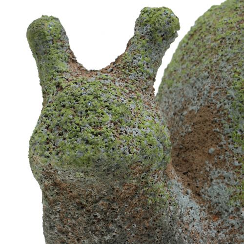 Floristik24 Tuinbeeldje slak bemost 31cm x 17cm H17cm