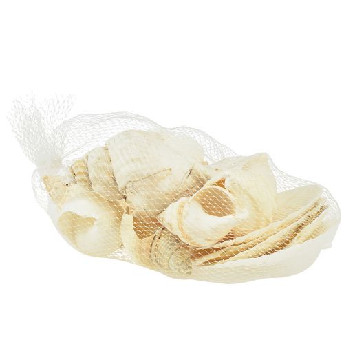 Artikel Slakkenhuis Decoratie Natuurlijk Wit Maritieme Tafeldecoratie 350g