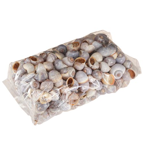 Artikel Slakkenhuis natuur 1kg