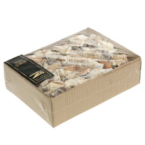 Floristik24 Slakkenhuis natuur 815g