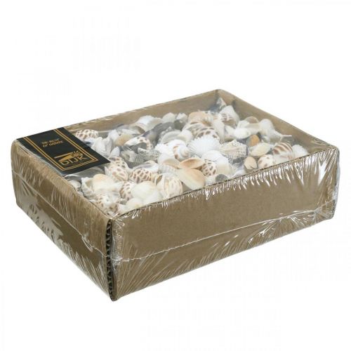 Floristik24 Mosselmix Mini, Zeeslakken, Natuurlijke Mosselen L1–4cm 1000g