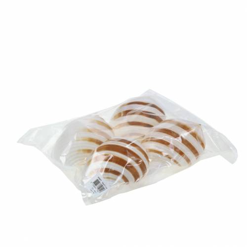 Floristik24 Zeeslakkentonslak naturel 10-12cm 4 st