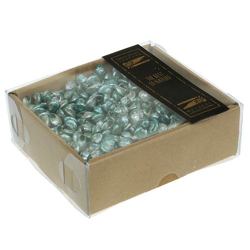 Floristik24 Slakschelp blauwgroen 500g