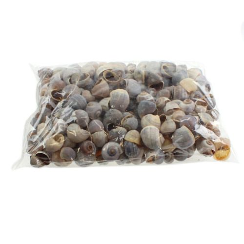 Artikel Slakkenhuis natuur 1kg