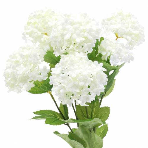 Floristik24 Sneeuwbal Viburnum Tak Wit 42.5cm