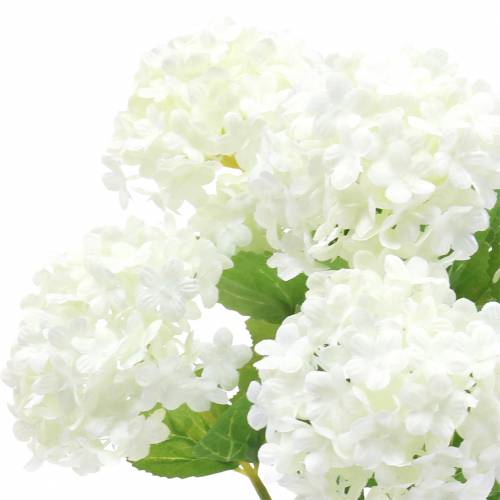 Floristik24 Sneeuwbal Viburnum Tak Wit 42.5cm