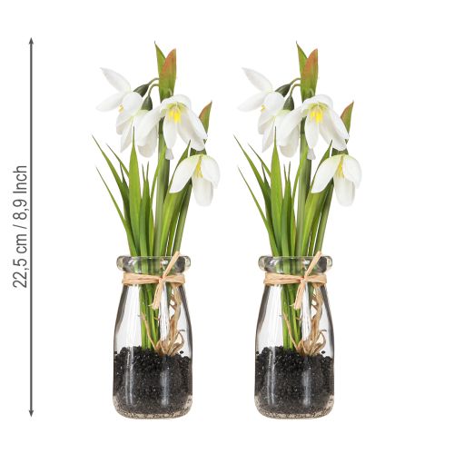 Artikel Sneeuwklokjes kunst in glas kunstbloemen wit 22,5cm 2st