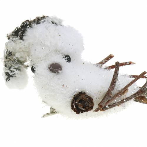 Floristik24 Sneeuwvogel op clip 8cm x 6,5cm 6 st