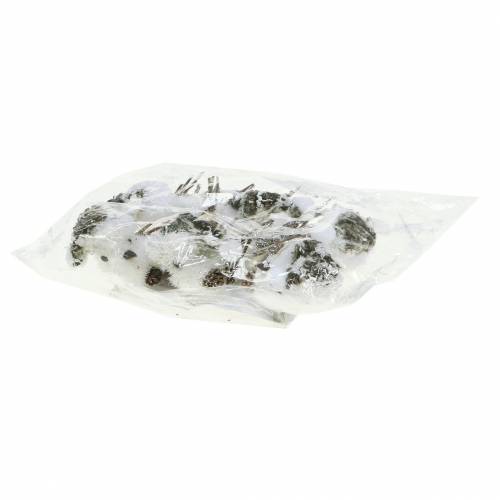 Floristik24 Sneeuwvogel op clip 8cm x 6,5cm 6 st