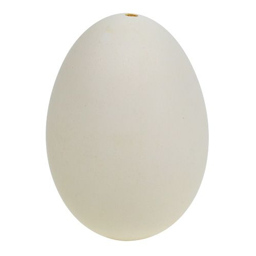 Floristik24 Zwaneneieren 9cm crèmewit 6st