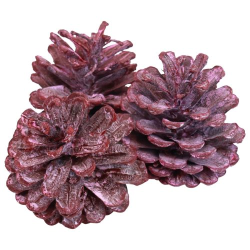 Floristik24 Zwarte dennenappels rood natuurlijke decoratie mat 5–7cm 1kg