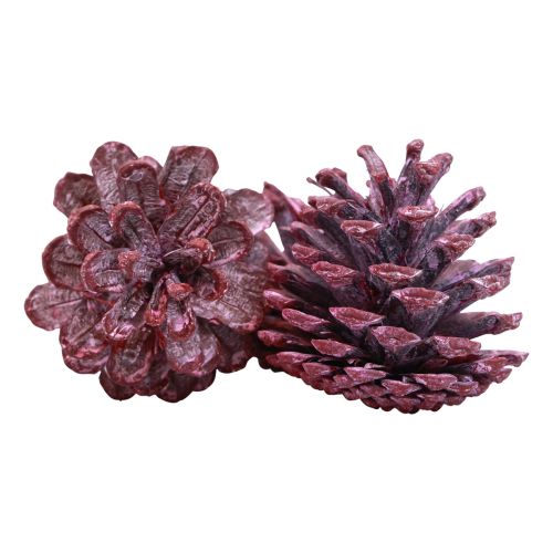 Artikel Zwarte dennenappels rood natuurlijke decoratie mat 5–7cm 1kg