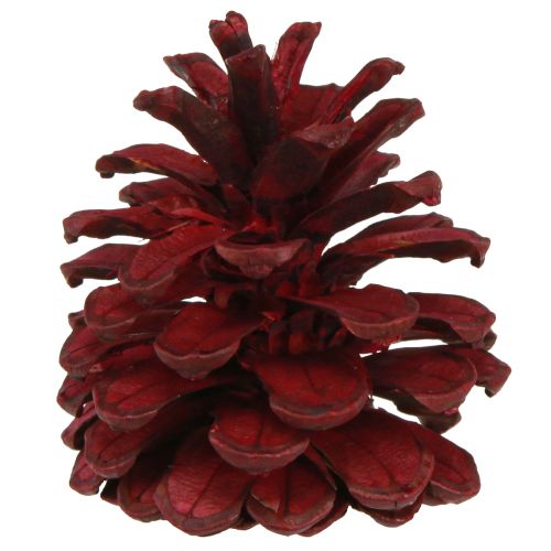 Artikel Zwarte dennenappels Bordeaux decoratieve kegels rood 6-8cm 6 st