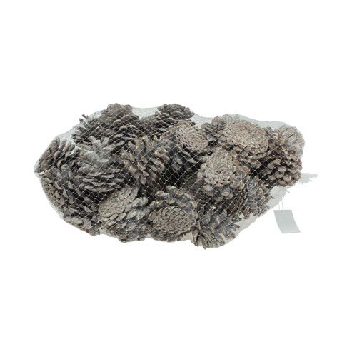 Artikel Zwarte dennenappels 5-9cm Wit gewassen 1kg