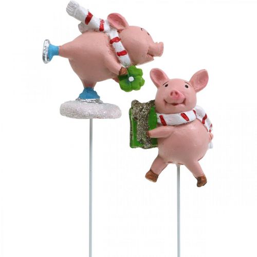 Floristik24 Deco varken Kerst geluksvarken bloemen plug 4st