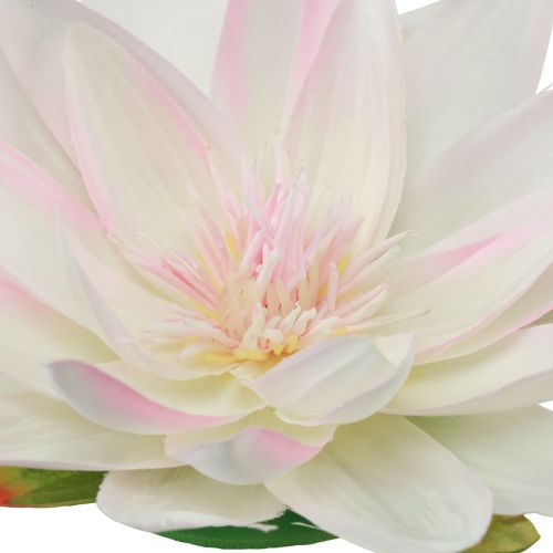 Artikel Drijvende waterlelies kunsttafeldecoratie wit, roze Ø15cm 2 stuks