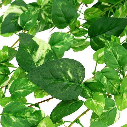 Floristik24 Scindapsus rank kunstmatig 90cm