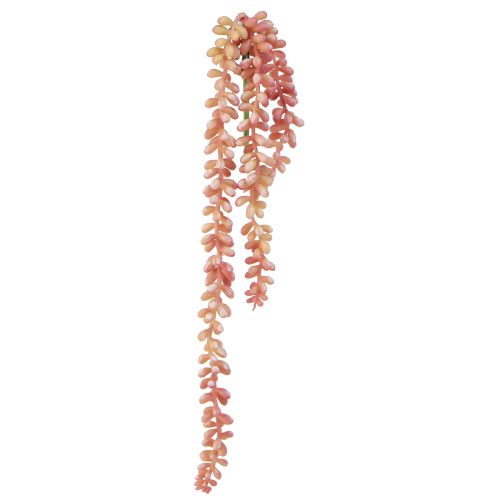 Artikel Sedum &#39;Rubin&#39; hangplant - decoratieve, onderhoudsvriendelijke vetplant 43cm 3st.