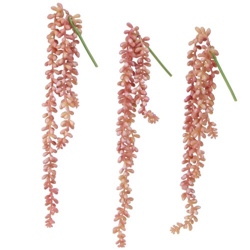 Artikel Sedum &#39;Rubin&#39; hangplant - decoratieve, onderhoudsvriendelijke vetplant 43cm 3st.